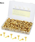Top Tier Golden Brass Paper Fasteners For Scrapbooking And Handmade Craft Jobs 250 Piece Bulk Pack in a clear case, 5/16 x 11/16 inches.