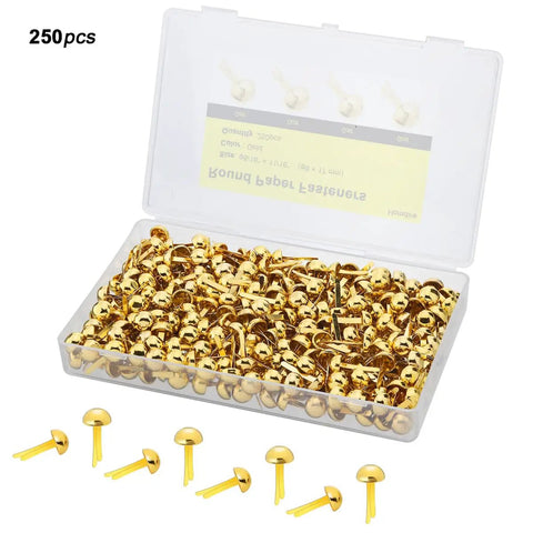 Top Tier Golden Brass Paper Fasteners For Scrapbooking And Handmade Craft Jobs 250 Piece Bulk Pack in a clear case, 5/16 x 11/16 inches.