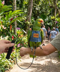 Parrot in denim Adjustable Bird Flight Suit Harness Escape Proof Design With Anti Bite Straps on arm in garden setting