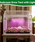 Indoor Mini Greenhouse With Grow Lights And Timer For Seed Starting, Three Light Color Modes, Thickened PVC Tent, growing mushrooms