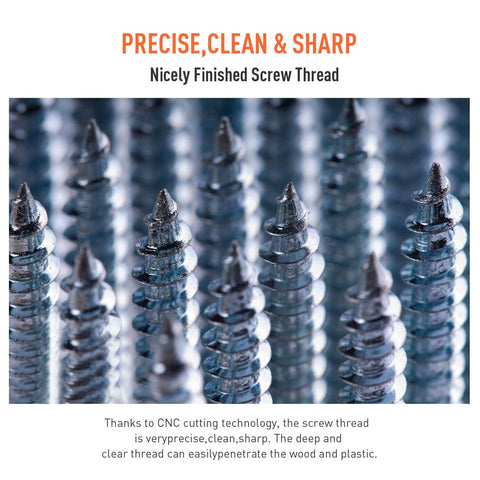 Close-up of Self Tapping Screws Assortment Kit 550 Pieces M3 Through M6 304 Stainless Steel for metal wood and plastic