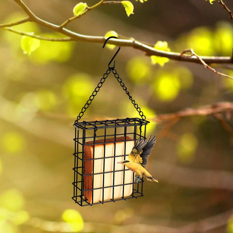 Two Pack Outdoor Suet Cage Bird Feeders For Outside Hanging With One Suet Cake Capacity And Fruit, Seed Or Nesting Material Options, Easy Top Load Design, Durable Black Finish For Wild Birds In Garden Or Patio hanging on tree branch with bird