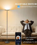 Two-Sided Smart Floor Lamp With RGBCW Color, 2000 Lumens, Alexa And Google Home Ready, shown in a living room setting.