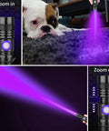 Pro Grade 395Nm UV Black Light Flashlight USB Rechargeable Handheld With Clip detecting pet urine on carpet, close-up view