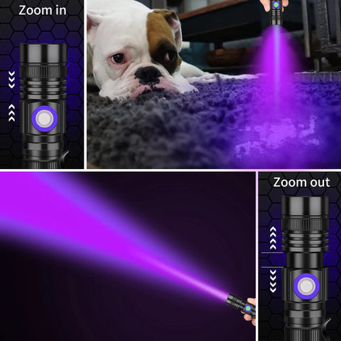 Pro Grade 395Nm UV Black Light Flashlight USB Rechargeable Handheld With Clip detecting pet urine on carpet, close-up view
