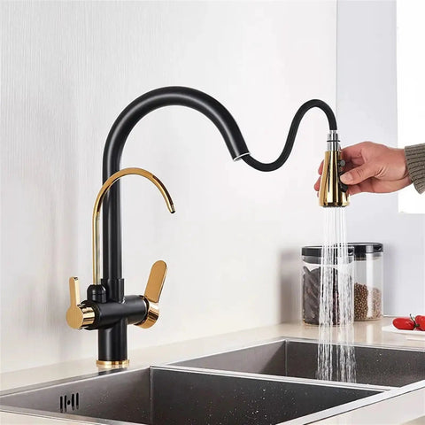 d/Black/Ch Kitchen Pull-Out Water Filter Faucet - 2/3 Way Mixer Tap for Cold Drinking WaterSink C with Purificat System pouring water