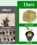 Comparison of hydroponic net pot kit with and without mesh cups showing healthy roots and plant stability.