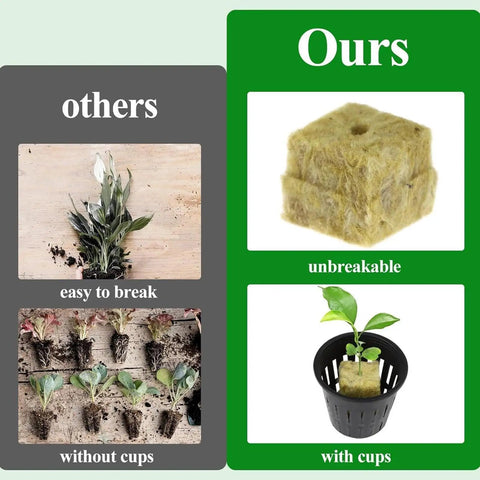 Comparison of hydroponic net pot kit with and without mesh cups showing healthy roots and plant stability.
