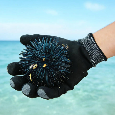 Heavy Duty Safety Work Gloves For Men And Women With A9 Cut Protection holding a sea urchin by the ocean