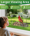 Child watching bird on Clear Window Bird Feeder With Strong Suction Cups And Removable Seed Tray Acrylic Transparent Bird House
