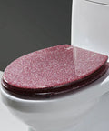 Pretty Dang Stylish Sparkle Finish Soft Close Toilet Seat For Elongated Bowls Thickened Comfort With Adjustable Stainless Hinges on toilet.
