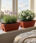 Red Window Box Planters 7 Pack Rectangular Plastic Flower Pots With Saucers For Indoor Outdoor Garden on windowsill