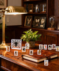 Real Animal Specimens In Resin Taxonomy Kit For Science Class And Homeschool Crystal Clear Taxidermy Blocks displayed on wooden desk