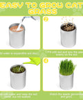 4 Pack Cat Grass Seeds Kit For Indoor Cats Easy Grow Cat Grass Kit With Fast Germination Natural Hairball Control