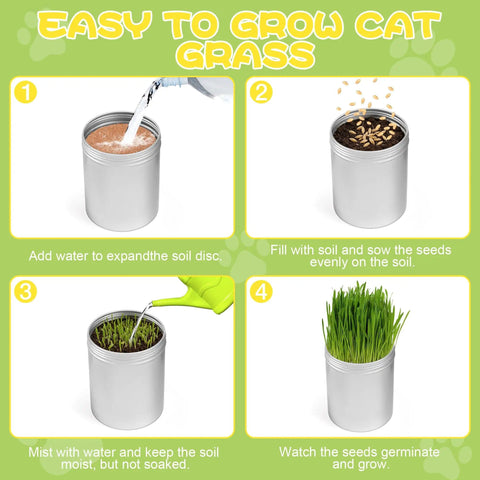 4 Pack Cat Grass Seeds Kit For Indoor Cats Easy Grow Cat Grass Kit With Fast Germination Natural Hairball Control