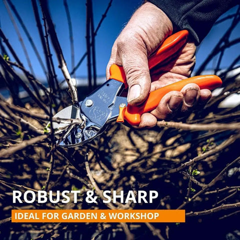 Heavy Duty Anvil Pruner For Gardening Beefy Hedge Trimmer And Pruning Shears Handheld Garden Tool With Long Lasting Carbon Steel Blade And Corrosion Resistant Coating Made In Germany being used on a branch