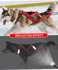 Versatile Dog Pulling Harness For Sled And Exercise Adjustable Waterproof Pro Harness For Bikejoring And Skijoring Red Size M