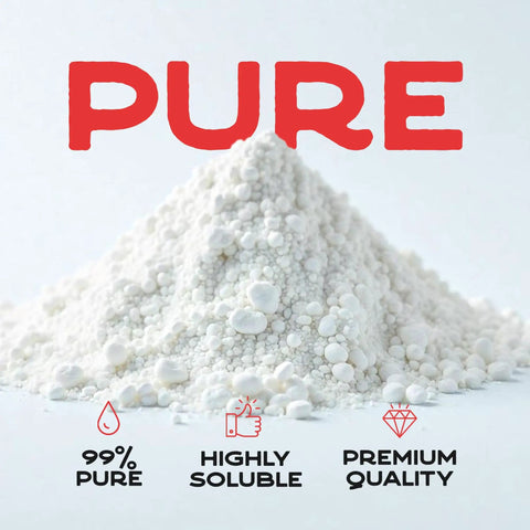 Oxalic Acid Wood Cleaner 1 Lb Fine Powder 99.9 Percent Purity Multipurpose Cleaner for Wood Stain Removal and Rust Removal