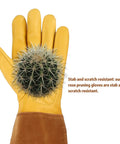 Long Rose Pruning Gloves For Women And Men, Anti Stab Garden Gloves holding a cactus, showcasing heavy duty full grain cowhide leather.