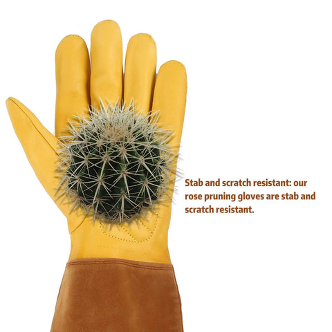 Long Rose Pruning Gloves For Women And Men, Anti Stab Garden Gloves holding a cactus, showcasing heavy duty full grain cowhide leather.