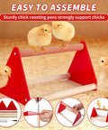 Game Changer Complete Six Piece Chick Feeder And Waterer Combo With Automatic Mini Perch For Ducks And Quail Brooder Starter Kit with chicks on red roosting pen.