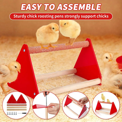 Game Changer Complete Six Piece Chick Feeder And Waterer Combo With Automatic Mini Perch For Ducks And Quail Brooder Starter Kit with chicks on red roosting pen.