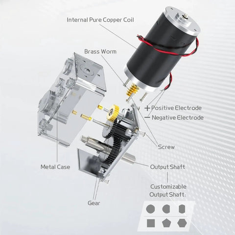 Exploded view of 24V Gear Motor With Self Locking Output Shaft 250 RPM High Torque 4 Kg Cm 8mm Single Shaft Reversible Mini Turbine Geared Motor