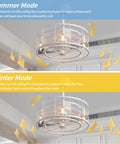 Enclosed Ceiling Fan With Lights Remote Control Kid Friendly Caged Design shows summer and winter modes in a 20-inch white indoor fan