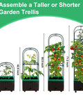 Four sizes of Raised Garden Bed With Self Watering Planter Box And Trellis For Climbing Plants Indoor Outdoor Yard Greenhouse Use Ideal For Tomatoes Cucumbers Roses Tomato Cage Veggies.
