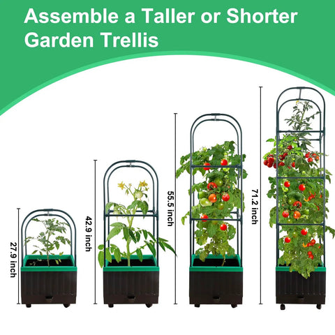 Four sizes of Raised Garden Bed With Self Watering Planter Box And Trellis For Climbing Plants Indoor Outdoor Yard Greenhouse Use Ideal For Tomatoes Cucumbers Roses Tomato Cage Veggies.