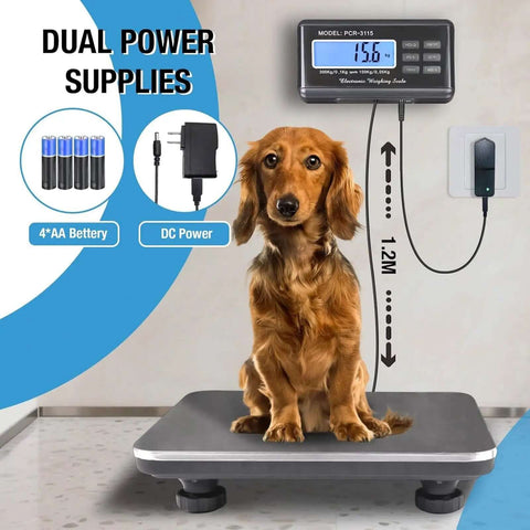 Dog sitting on Beefy 660 Pound Postal Shipping Scale With 14 By 12 Inch Stainless Platform LCD Backlit Display showing weight.
