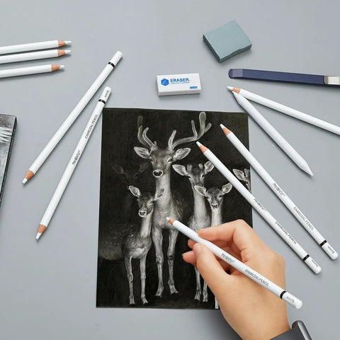 14 Piece White Charcoal Pencil Set For Drawing And Sketching, Pro Grade White Chalk Pencils With Art Knife, Erasers, Blending Stumps