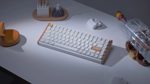 Next Level Wireless Gaming Mechanical Keyboard With Compact 96 Layout And Rapid Magnetic Switches Hot Swap Programmable Rgb Backlight Bluetooth Wired Setup Fire Performance For Mac Windows on a desk with decor.