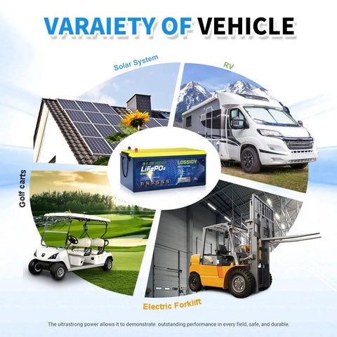 48V 100Ah LiFePO4 Golf Cart Battery Kit With 18A Smart Charger And LCD Monitor 200A BMS 10KW Output for various vehicles.