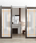 Double Barn Door With Frosted Glass In Chocolate Ash Finish, Modern Solid Panel Interior Sliding Door Set, 84 By 96 Inches, room view