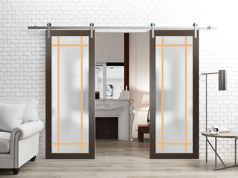 Double Barn Door With Frosted Glass In Chocolate Ash Finish, Modern Solid Panel Interior Sliding Door Set, 84 By 96 Inches, room view