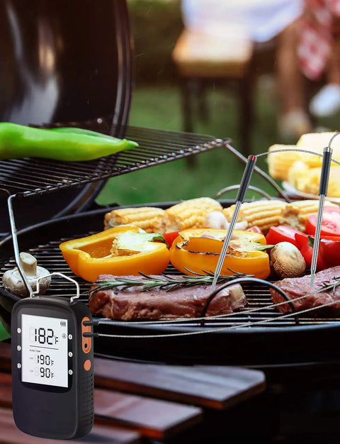 2-Pack 2.5mm Probe Replacement For H5055 Meat Thermometer with vegetables and meat on BBQ grill