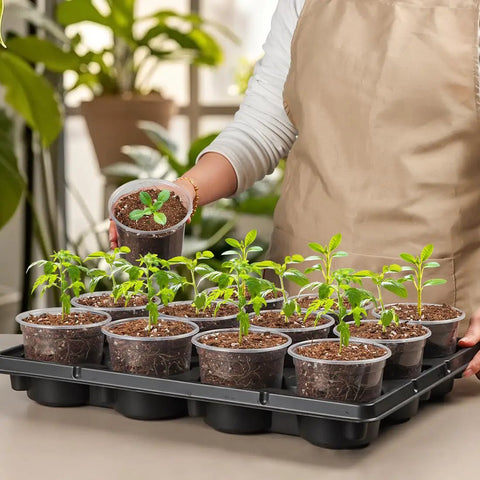 12 Cell Nursery Pot Trays Bundle With 4 Inch Clear Pots 60 Pack, Tough Thick Plastic Seed Starting And Germination Propagation Tray Kit, Black Small Planter For Home Garden, 5 Sets