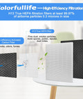 Two Pack Replacement Filters Kit For Winix 5500-2 AM80 Plasmawave Air Purifier 116130 Replacement Filter H with HEPA and carbon filters