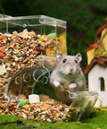 Cute hamster near a Clear Acrylic Hamster Pellet Feeder With Secure Cage Mount And Scatter Control Baffle making pet meal prep easy.