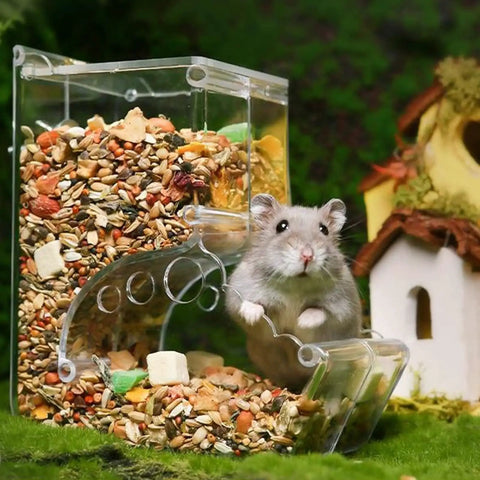 Cute hamster near a Clear Acrylic Hamster Pellet Feeder With Secure Cage Mount And Scatter Control Baffle making pet meal prep easy.
