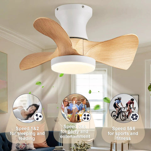 Compact 20 Inch Ceiling Fan With Light And Remote Whisper Quiet DC Motor Farmhouse Vibe Flush Mount Three Reversible Blades Ideal For Kitchen Dining Room Bedroom Office