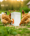 Chickens feeding from a barrel with Orange 12 Pack Chicken Feeder Ports With Lids Drill Bit DIY Automatic Poultry Feeder Cups Kit