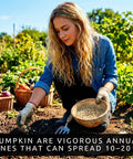 Woman planting Rainbow Pumpkin Patch Seeding Kit With 20 Mixed Seeds in outdoor garden with pumpkins in background