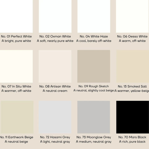 Color chart featuring Bright White Pro Grade Touch Up Paint No 01 Perfect White 1.5 Oz 45 Ml among other shades.