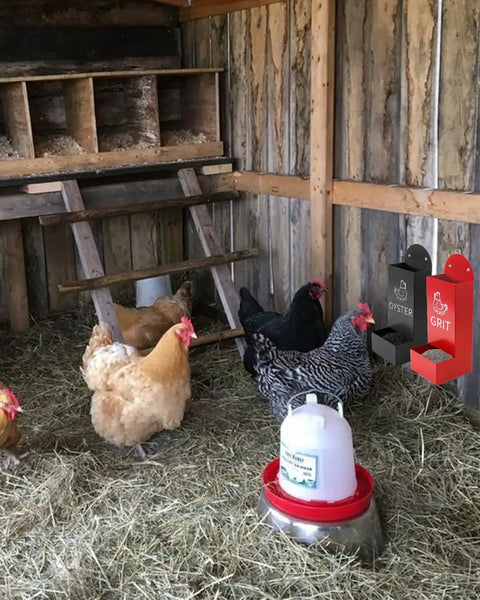 Heavy Duty Metal Chicken Oyster Shell And Grit Feeder With Smart Auto Dispenser built near hens in a rustic coop setting.