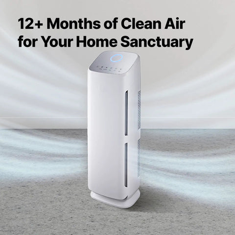Air purifier in room, promoting "12+ Months of Clean Air for Your Home Sanctuary" on top. AP1216L Replacement Filter Pack compatible.