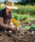 Gardener using Soil Moisture Meter And pH Tester For Garden Lawn And Indoor Outdoor Plants Pro Humidity Monitor in a vegetable garden.