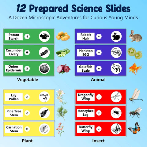 Image of 12 prepared science slides including vegetable, animal, plant, and insect samples for Awesome Kids Digital Microscope With 4K Clarity And 2.4 Inch Screen, Handheld USB Microscope For 200x-1000x Magnification, Includes 12 Slides, Portable STEM Toy Gift For Boys And Girls Ages 5 6 7 8 9 10 11 12.