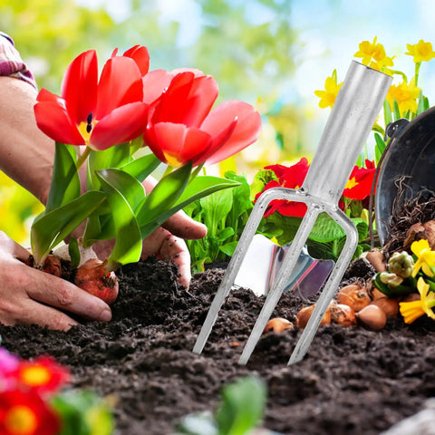 Three-Prong Fish Fork Beefed-Up Heavy Duty Steel Garden Tool For Fishing And Harvesting next to tulips in soil, ergonomic handle.
